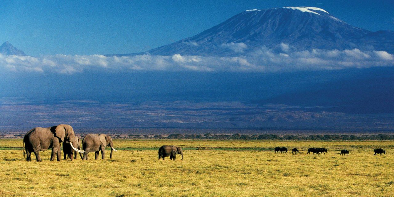 Kilimanjaro Pinnacle Adventure