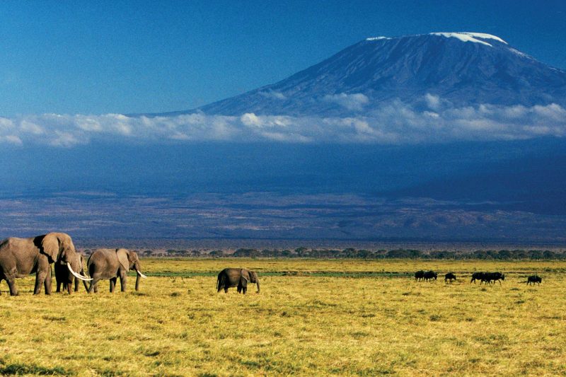 Kilimanjaro Pinnacle Adventure