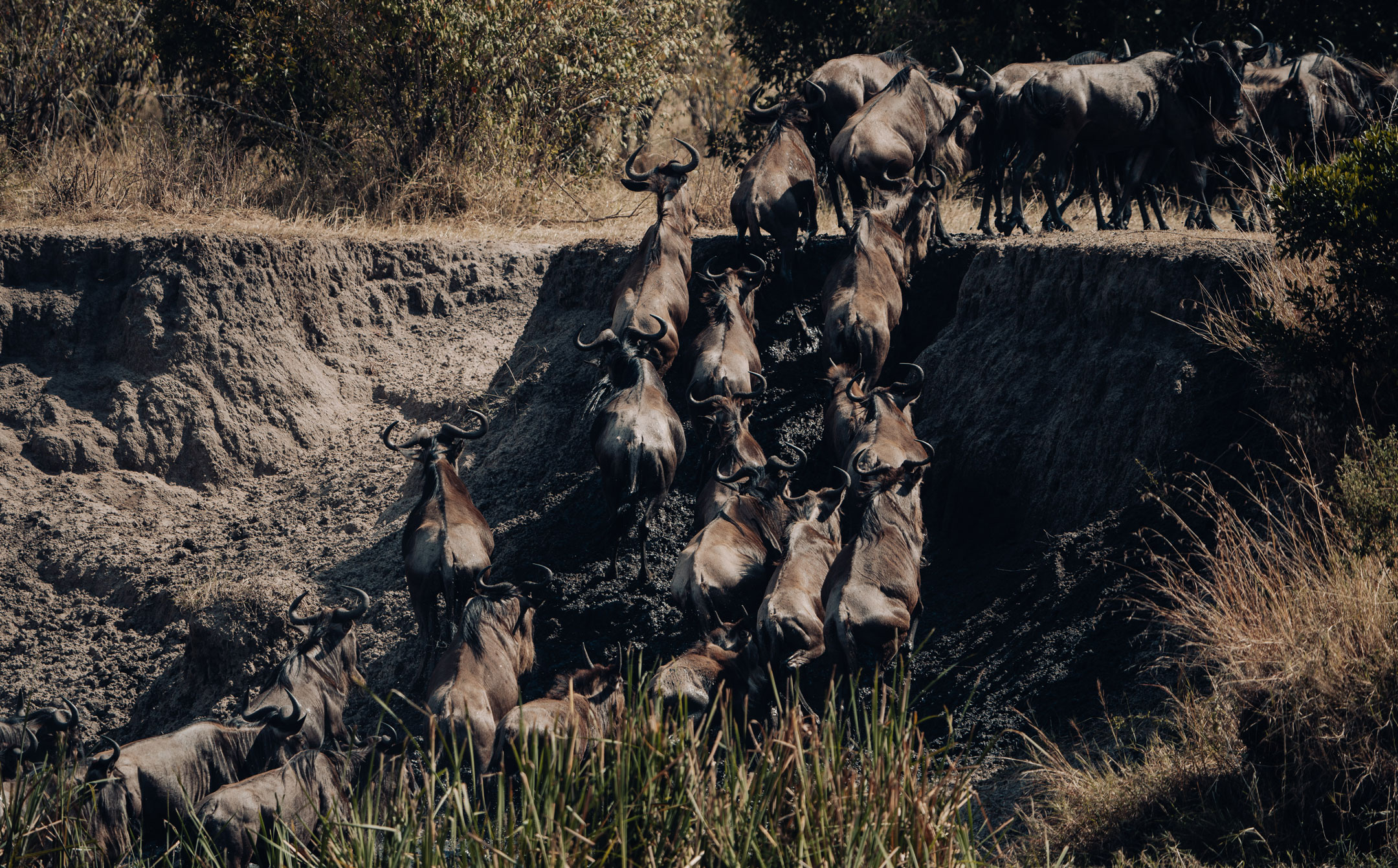 A7306958 copy https://thetravnia.com/wp-content/uploads/2025/08/A7306958-copy.jpg