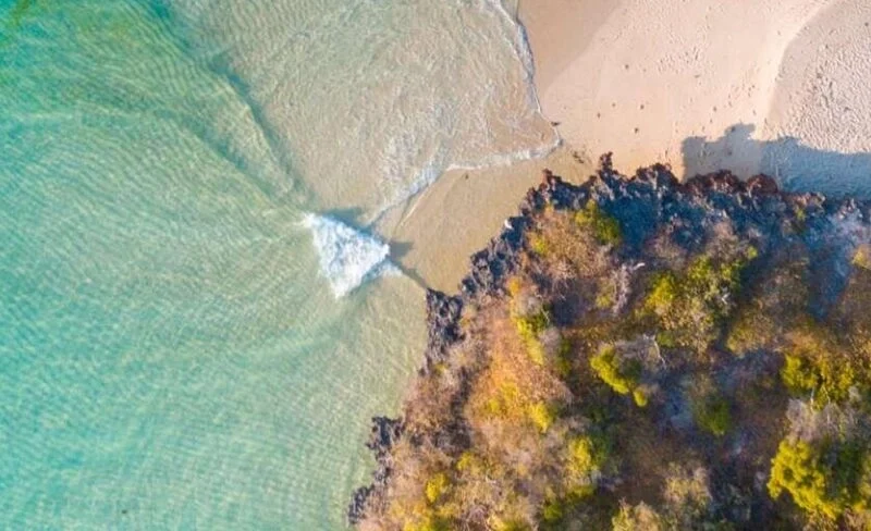 Luxury Safari & Island Escape Collection