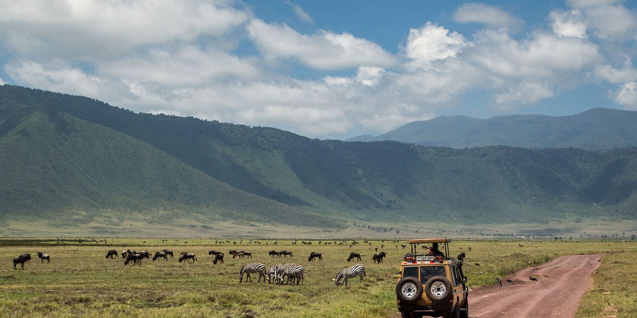 Safari Grandeur